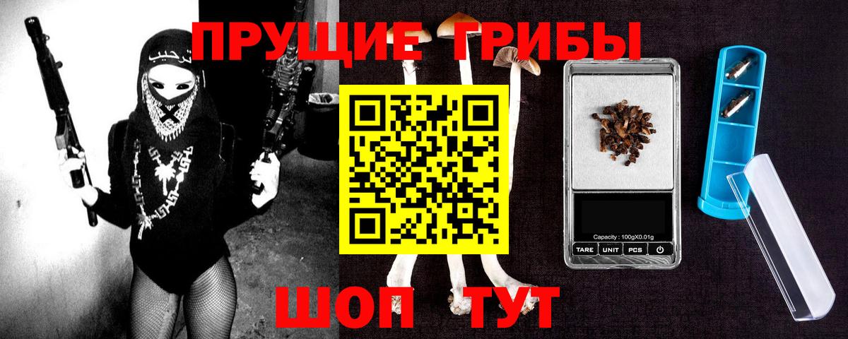 Псилоцибиновые грибы Psilocybine cubensis Курчалой