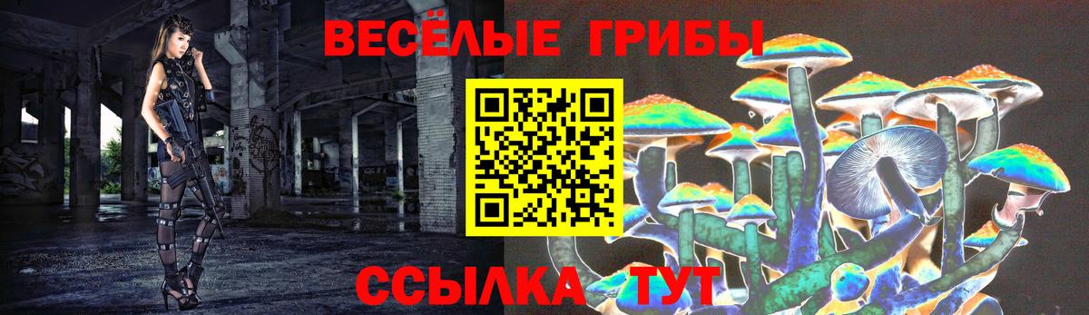 Псилоцибиновые грибы Psilocybine cubensis  Вход с VPN  Курчалой 