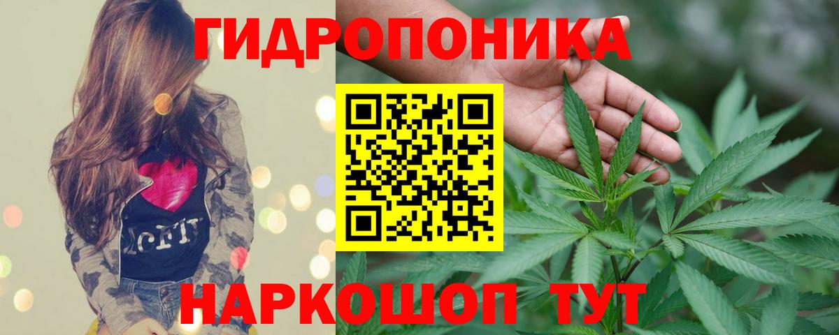 Каннабис сатива  МАРИХУАНА гибрид  Курчалой  Вход с VPN  Каннабис Ganja 